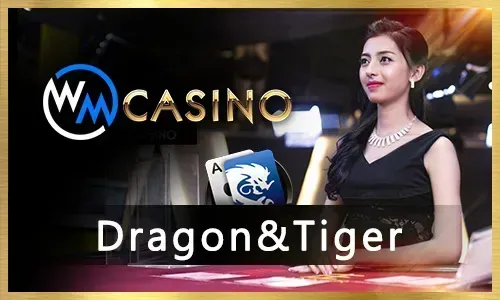 PH365 Live Casino Logo